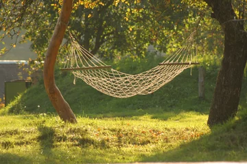 Poster the hammock in a garden © Diana Taliun