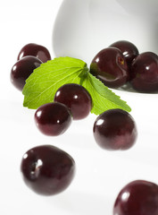Stevia Rebaudiana-Süsskraut