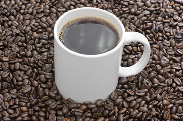 Coffee Cup