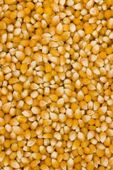 Popcorn Grain