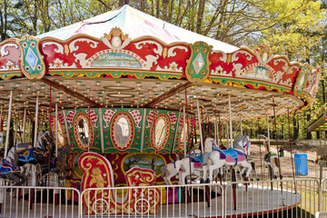 Merry Go Round in Park