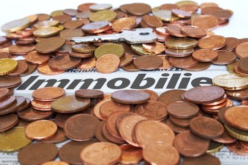 Immobilie und Geld