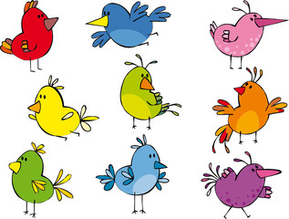 Set of funny small birdies