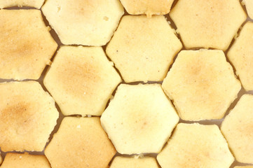 Oyster crackers up close