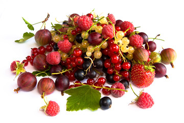 Still life with currants, gooseberries, raspberries and strawber