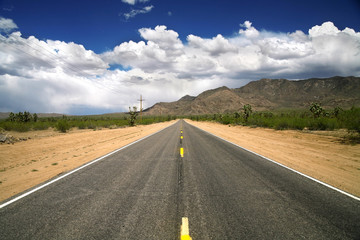 road through desert, USA , Arizona