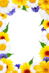 Obraz premium Flowers frame with chamomile and cornflower