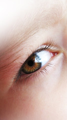 Fototapeta premium eye