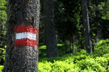 rot weiß Markierung