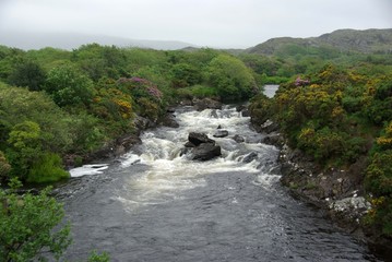Riviere d'Irlande