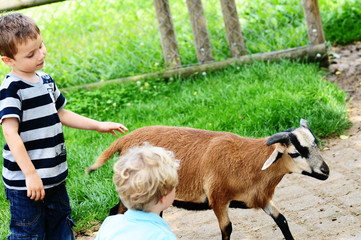 kind mit ziege