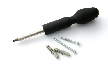 Screwdriver with screws and plugs
