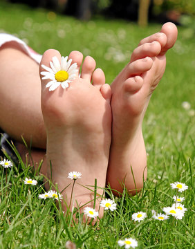 Füße und Blume