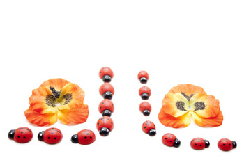 Blüten und Marienkäfer