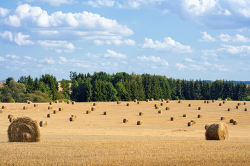 Obraz premium bales of hay