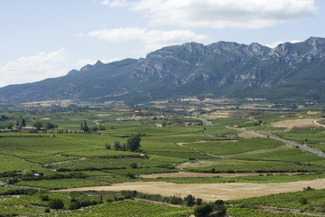 Campos en la Rioja