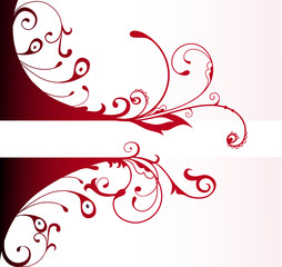 Floral Border