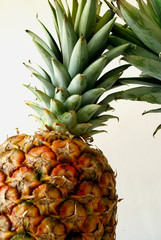 Piña y hojas