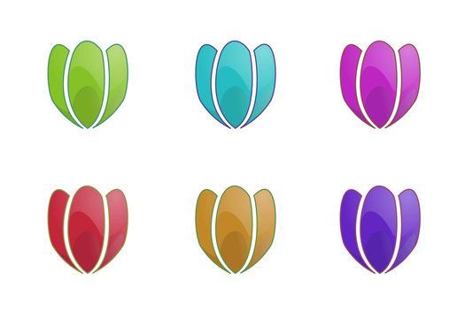 Tulips illustration in various colors on a white background
