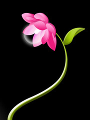 Lotus electric flower on dark ambient