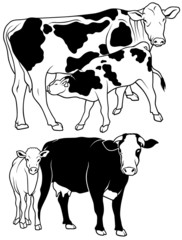 Cow Set 03 - black hand drawn illustration
