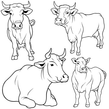 Cow Set 05 - black hand drawn illustration