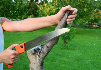 Hand keeps saw.
