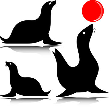 sea lion vector silhouettes