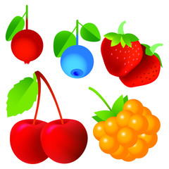 Cherry, strawberry, cloudberry, blueberry, cranberries