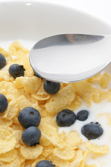 Muesli milk and blueberries in a white bowl