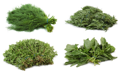 Herbs over white. Large file.
