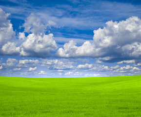 Fototapeta premium Blue sky and green field