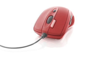 computer mouse