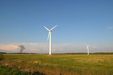 Meadow with wind turbines