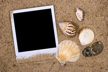 Photo frame with sea shells on sand background