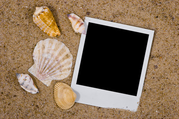 Photo frame with sea shells on sand background