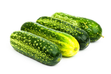 cucumber