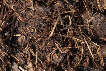 fresh organic fertilizer (manure) background