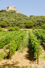 Fototapeta na wymiar Chateau-Saint-Martin with vineyard, Languedoc-Roussillon, France