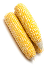 Three piled fresh corn cobs