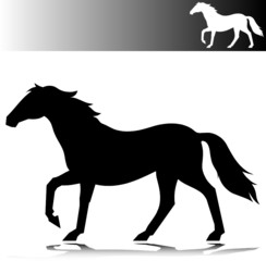horse move vector silhouettes