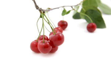 Cherries; objects on white background