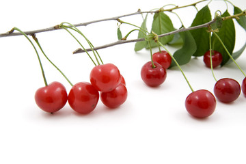 Cherries; objects on white background