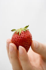 Fototapeta premium イチゴ