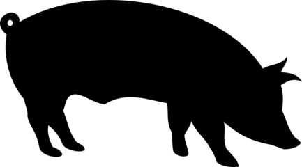 silhouette pig