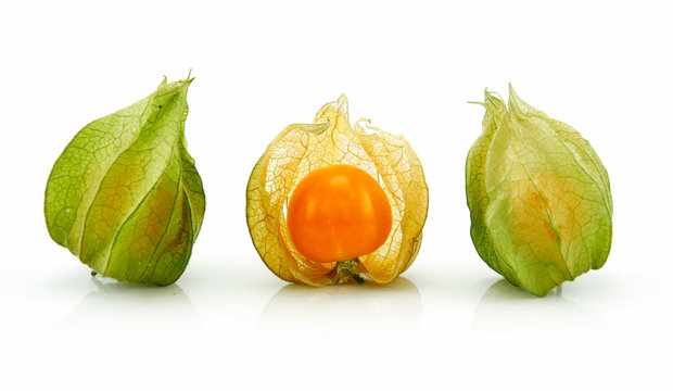Cape Gooseberry (Physalis) Isolated on White