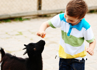 tierfreund