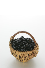 Fototapeta na wymiar elderberries in a small basket