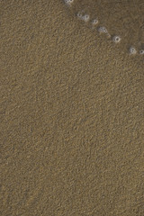 Sabbia bagnata dall'onda del mare