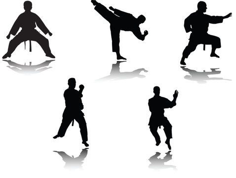 karate player with shadow - vector